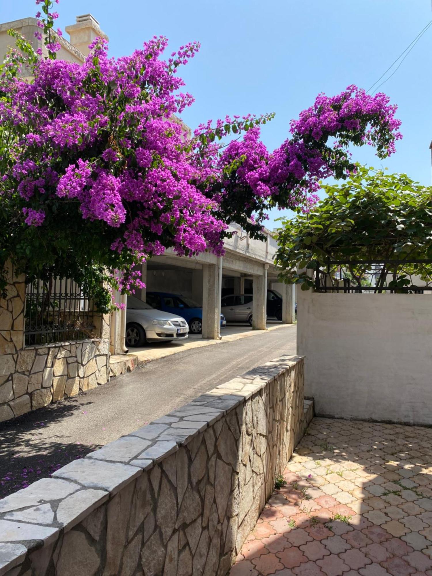 Apartments Vila Kurtagic Dobra Voda Εξωτερικό φωτογραφία